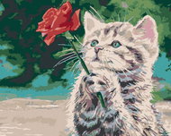 Painting by Numbers - Cat and Red Rose, 80x100 cm, stretched canvas on frame - Painting by Numbers