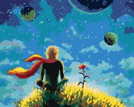 Painting by Numbers - The Little Prince and His Roses, 80x100 cm, stretched canvas on frame - Painting by Numbers