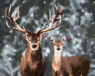 Painting by Numbers - Noble Deer and Doe in a Snowy Forest, 80x100 cm, stretched canvas on frame - Painting by Numbers