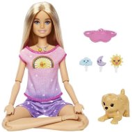 Barbie Bábika a meditácia od rána do večera - Bábika