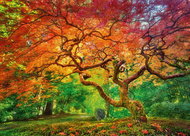 CHERRY PAZZI Tree Crown 1000 pieces - Jigsaw Puzzle