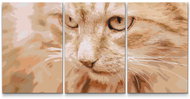 Painting Queens Malování podle čísel - Lovecký pohled kočky (sada 3 ks), 60 × 80 cm, na rámu - Painting by Numbers