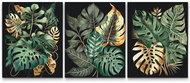 Painting Queens Malování podle čísel - Monstera (sada 3 ks), 60 × 80 cm, bez rámu - Painting by Numbers