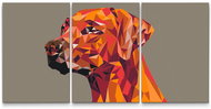 Painting Queens Malování podle čísel - Geometrické tvary psa (sada 3 ks), 60 × 80 cm, na rámu - Painting by Numbers