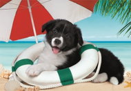 Clementoni Puzzle Sunny Beach 104 Pieces - Jigsaw Puzzle