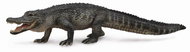 Collecta Alligator - Figure