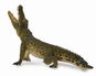 Collecta Krokodýl nilský - Figurka