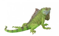 Collecta Iguana - Figure