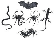 Boland Hmyz 6 ks - Dekorace