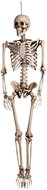 Boland Skeleton for hanging 160 cm - Decoration