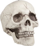 Boland Skull with movable jaw 21 cm - Decoration