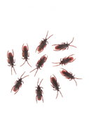 Carnival toys Set of 10 plastic cockroaches - Decoration