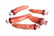 Carnival toys Fingers Torn off - Halloween - Decoration