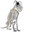 Dog skeleton 43 cm