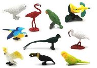Coolkousky Set of mini birds 10pcs Toys - Figure