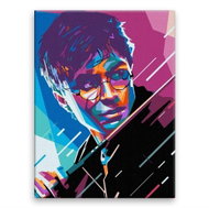 Harry Potter 01 - 30 × 40 cm, canvas on frame - Painting by Numbers