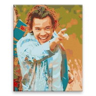 Harry Styles 03 - 40 × 50 cm, canvas off the frame - Painting by Numbers