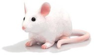 Mojo - Mouse - Figure