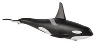 Mojo - Male killer whale - Figure