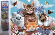 Norimpex Koťata a motýli 40 × 30 cm - Diamond Painting