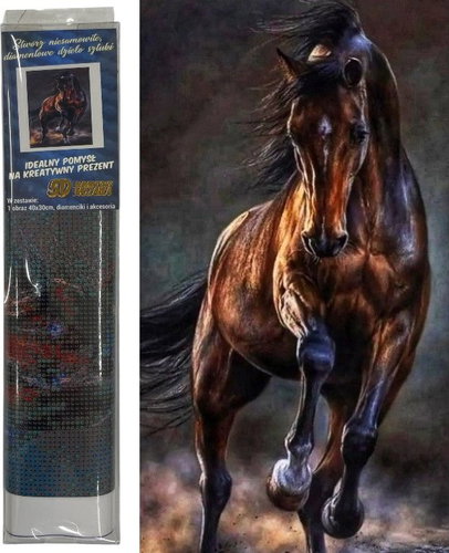 Norimpex Divoký kůň 40 × 30 cm - Diamond Painting - Main image