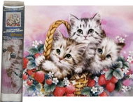 Norimpex Koťata v jahodách 40 × 30 cm - Diamond Painting