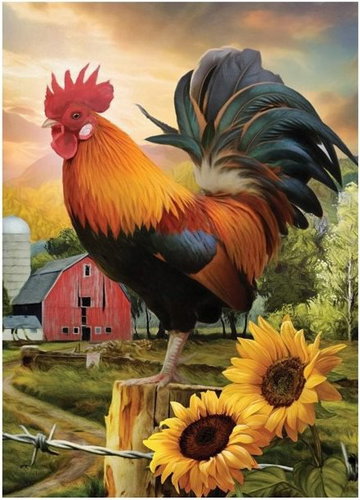 Norimpex Kohout na farmě 40 × 30 cm - Diamantové malování - Hlavní obrázek