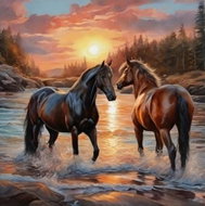 Norimpex Koně v západu slunce 40 × 30 cm - Diamond Painting