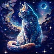 Norimpex Kočka ze třpytu hvězd 40 × 30 cm - Diamond Painting