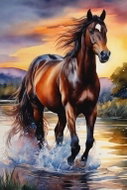 Norimpex Cválání v řece 40 × 30 cm - Diamond Painting