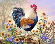 Norimpex Kohout 40 × 30 cm - Diamond Painting
