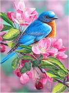 Norimpex Na kvetoucí třešni 40 × 30 cm - Diamond Painting