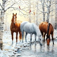 Norimpex Tři koně v zimě 40 × 30 cm - Diamond Painting