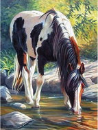 Norimpex Strakatý kůň 40 × 30 cm - Diamond Painting
