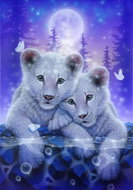 Norimpex Bílá lvíčata 40 × 30 cm - Diamond Painting