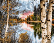 Norimpex Břízy na břehu jezera 30 × 40 cm - Diamond Painting