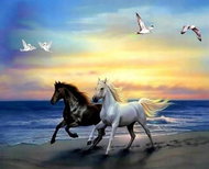Norimpex Koně na pláži 30 × 40 cm - Diamond Painting