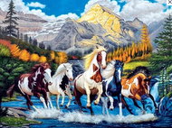 Norimpex Strakatí koně 30 × 40 cm - Diamond Painting