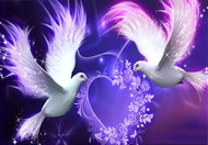 Norimpex Dove with heart 30 × 40 cm - Diamond Painting