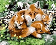 Norimpex Liščí rodinka 30 × 40 cm - Diamond Painting