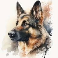 Norimpex Akvarelový německý ovčák 30 × 40 cm - Diamond Painting