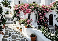 Norimpex Kvetoucí patio 30 × 40 cm - Diamond Painting