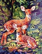 Norimpex Srnky v lese 30 × 40 cm - Diamond Painting