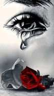 Norimpex Crying over roses 30 × 40 cm - Diamond Painting