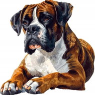 Norimpex Bo × er 30 × 40 cm - Diamond Painting
