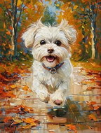 Norimpex Maltézský pes 30 × 40 cm - Diamond Painting