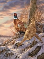 Norimpex Pheasants in winter 30 × 40 cm - Diamond Painting