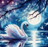 Norimpex Labuť při úplňku 30 × 40 cm - Diamond Painting