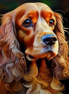 Norimpex Kokršpaněl 30 × 40 cm - Diamond Painting