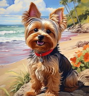 Norimpex Jorkšír na pláži 30 × 40 cm - Diamond Painting